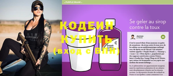 мдпв Верхний Тагил