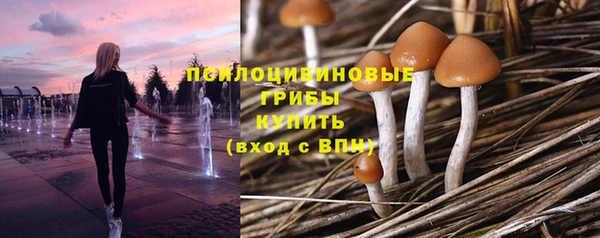 мдпв Верхний Тагил