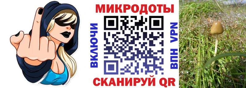 Псилоцибиновые грибы Magic Shrooms  MEGA ТОР  Новохопёрск 